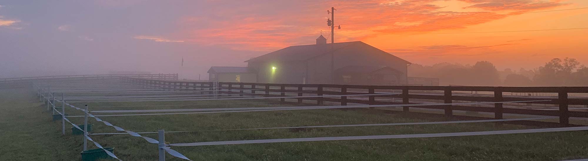 Sale barn and pens with fog